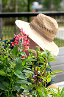 101-Garden-DSC_1816