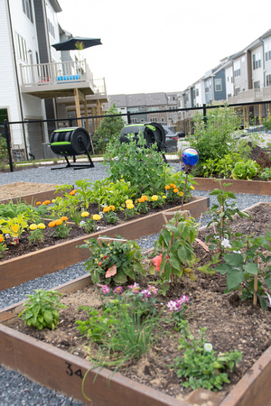 115-Garden-DSC_1733