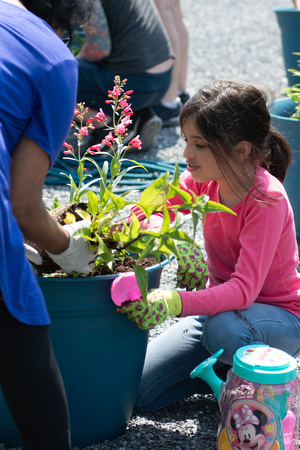 122-Garden-DSC_2133