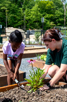 114-Garden-DSC_2078