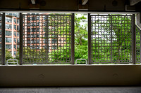 103-Westwood-DSC_3079