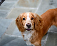 100-Deb-DSC_1924